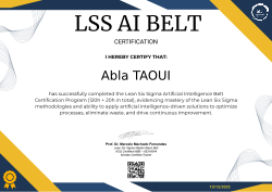 LSS AI BELT CERTIFICATION