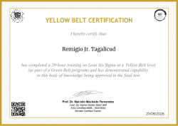 YELLOW BELT CERTIFICATION