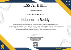 LSS AI BELT CERTIFICATION