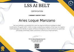 LSS AI BELT CERTIFICATION