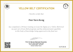 YELLOW BELT CERTIFICATION