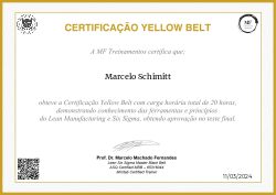 CERTIFICAÇÃO YELLOW BELT