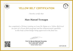YELLOW BELT CERTIFICATION