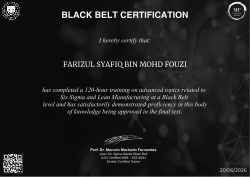 BLACK BELT CERTIFICATION
