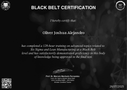 BLACK BELT CERTIFICATION