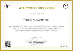 YELLOW BELT CERTIFICATION