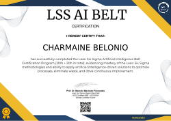 LSS AI BELT CERTIFICATION