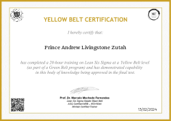 YELLOW BELT CERTIFICATION