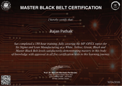MASTER BLACK BELT CERTIFICATION
