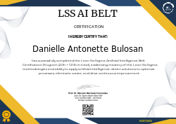 LSS AI BELT CERTIFICATION