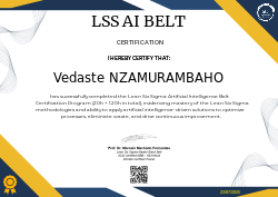 LSS AI BELT CERTIFICATION