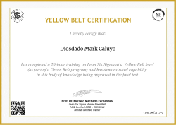 YELLOW BELT CERTIFICATION