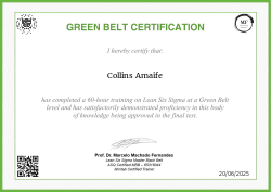 GREEN BELT CERTIFICATION