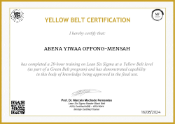YELLOW BELT CERTIFICATION