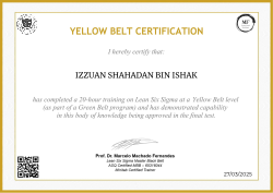 YELLOW BELT CERTIFICATION