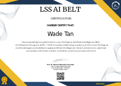 LSS AI BELT CERTIFICATION