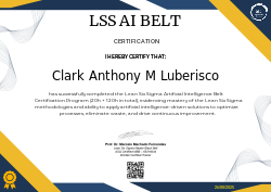 LSS AI BELT