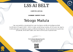 LSS AI BELT CERTIFICATION