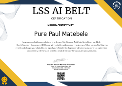 LSS AI BELT CERTIFICATION