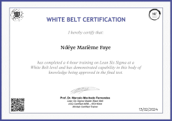 WHITE BELT CERTIFICATION