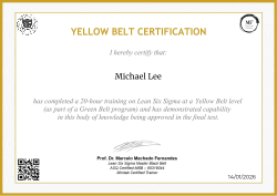 YELLOW BELT CERTIFICATION