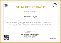 YELLOW BELT CERTIFICATION