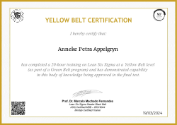 YELLOW BELT CERTIFICATION