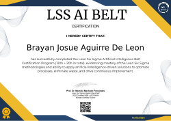 LSS AI BELT CERTIFICATION