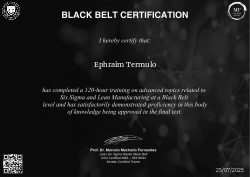 BLACK BELT CERTIFICATION