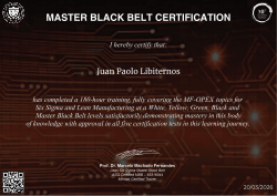 MASTER BLACK BELT CERTIFICATION