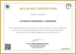 YELLOW BELT CERTIFICATION