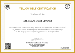 YELLOW BELT CERTIFICATION