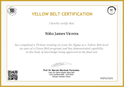 YELLOW BELT CERTIFICATION