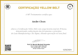 CERTIFICAÇÃO YELLOW BELT