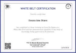 WHITE BELT CERTIFICATION