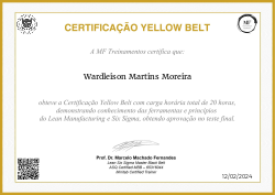 CERTIFICAÇÃO YELLOW BELT