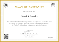 YELLOW BELT CERTIFICATION