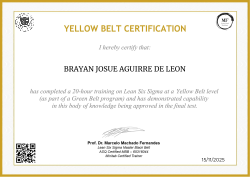 YELLOW BELT CERTIFICATION