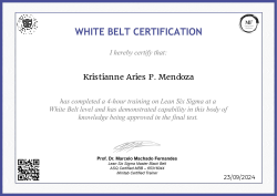 WHITE BELT CERTIFICATION