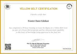 YELLOW BELT CERTIFICATION