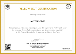 YELLOW BELT CERTIFICATION