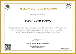 YELLOW BELT CERTIFICATION