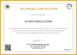 YELLOW BELT CERTIFICATION