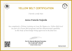 YELLOW BELT CERTIFICATION
