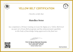 YELLOW BELT CERTIFICATION