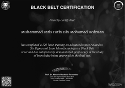 BLACK BELT CERTIFICATION