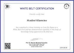 WHITE BELT CERTIFICATION