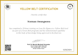 YELLOW BELT CERTIFICATION