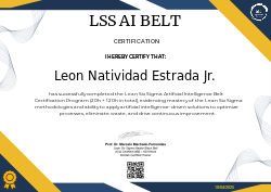 LSS AI BELT CERTIFICATION