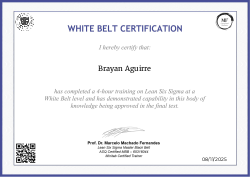 WHITE BELT CERTIFICATION
